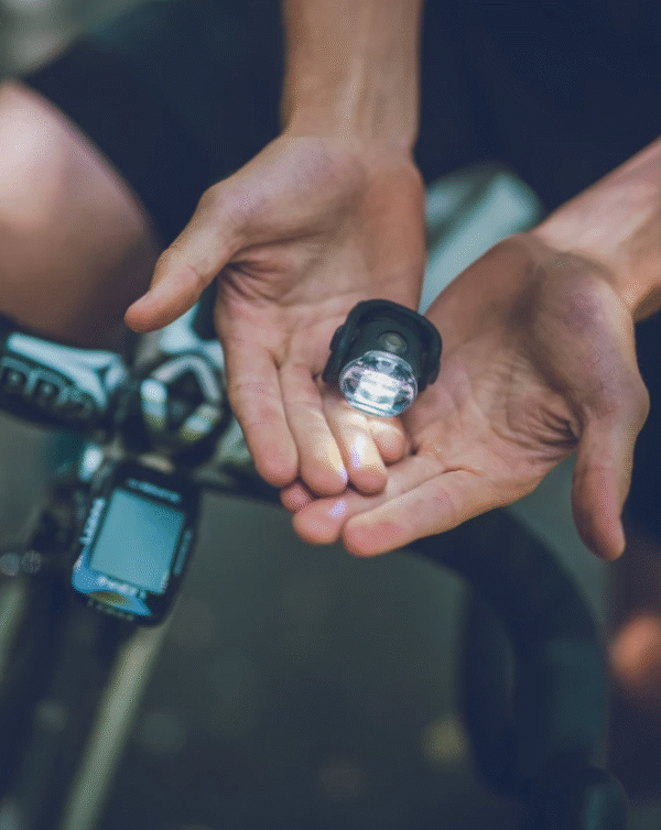 1CAE2540-9CE5-483E-836D-82CA060F2601